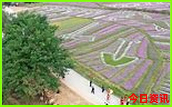 平谷必去十大景点